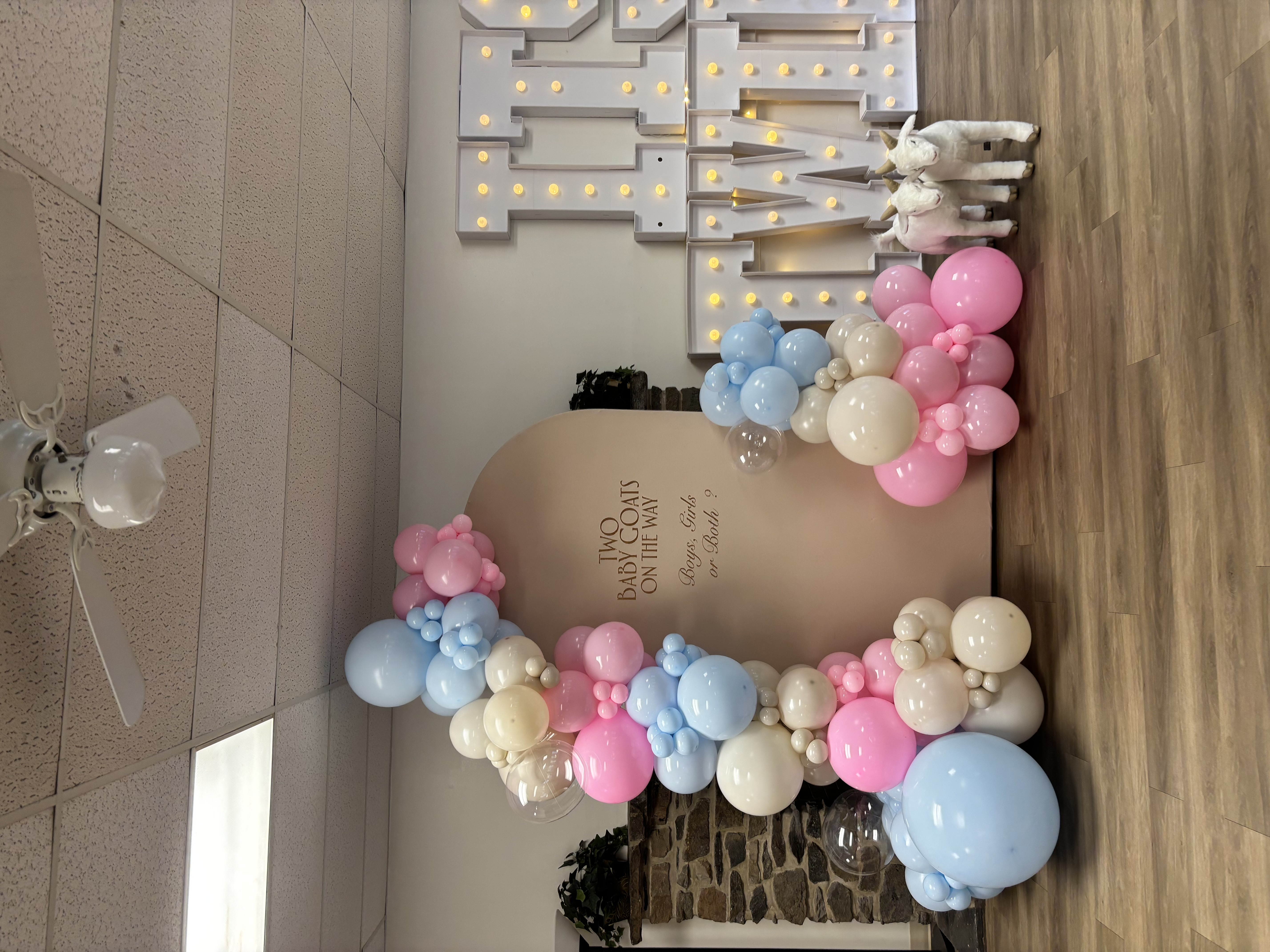 Twin Baby Shower — Shaleur Events